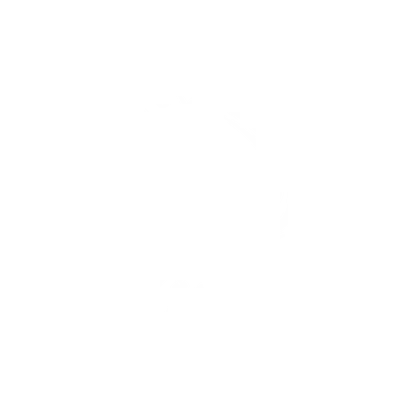 Ferdowsi University